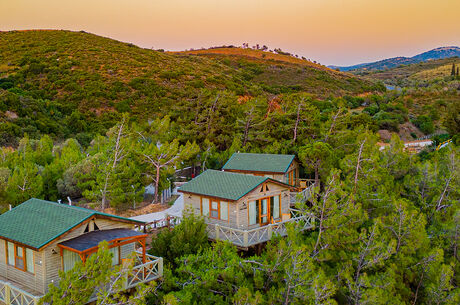  1 Gece Otel Konaklamalı Datça Badem Çiçeği Festivali Turu