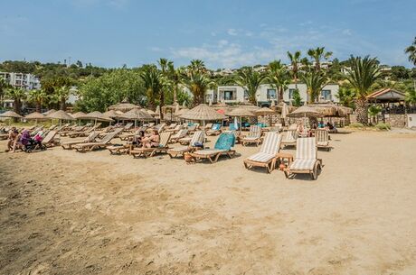 Costa 3S Beach Resort Bodrum | 4 Gece Konaklamalı | 