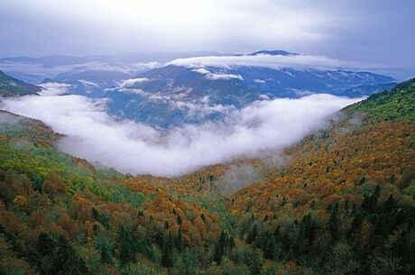 KASTAMONU KANYONLAR SAFRANBOLU AMASRA TURU