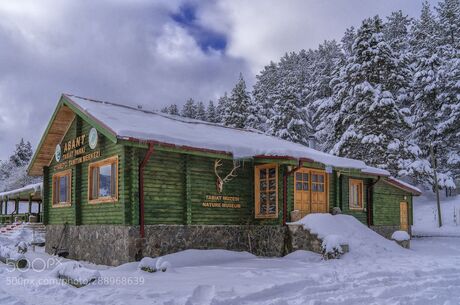 GÜNÜBİRLİK ABANT GÖLCÜK TURU