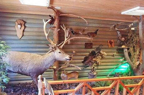 GÜNÜBİRLİK ABANT GÖLCÜK TURU