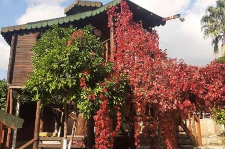 Olympos - Adrasan  Turu 4 Gece 5 gün (4  Gece Konaklamalı )